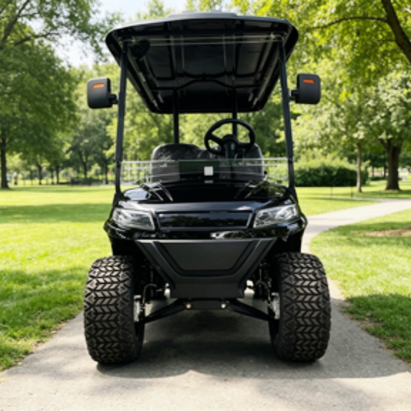 Golf Bag Stand Cart - 公道走行可能ゴルフカートバギー観光用電動ゴルフカート72Vゴルフカートキャディー立ち乗りエリアとゴルフバッグラック砂場用バケツ2個