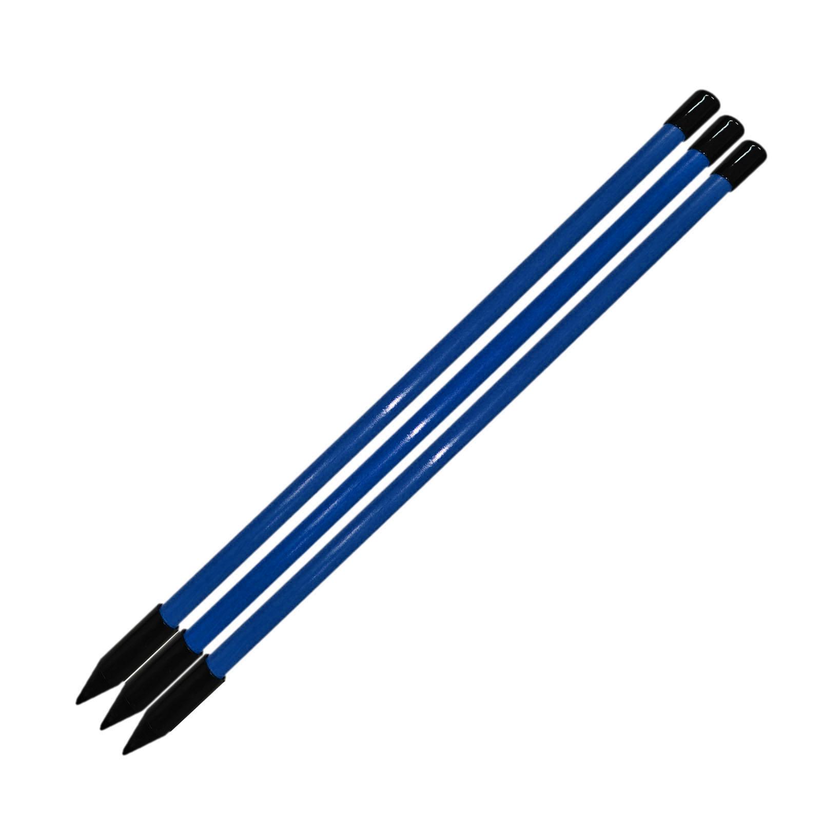 携帯用ゴルフアライメントロッド スイングガイド エイミングス - Alignment Stick Set のレビューと価格