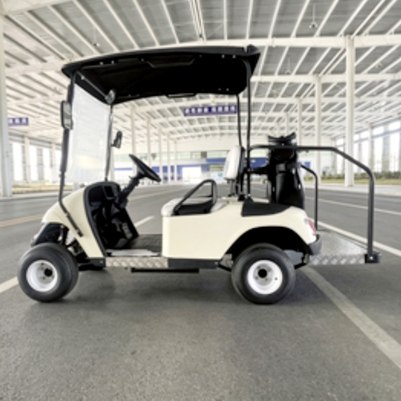 2026年新発売 2人乗り 72Vリチウム電池式電動ゴルフカ - Golf Bag Stand Cart のレビューと価格