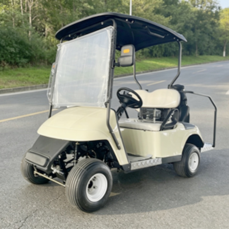2026年新発売 2人乗り 72Vリチウム電池式電動ゴルフカ - Golf Bag Stand Cart のレビューと価格