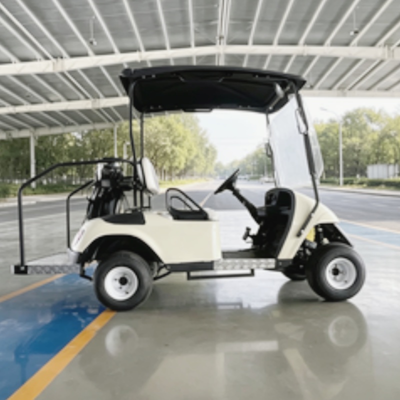 2026年新発売 2人乗り 72Vリチウム電池式電動ゴルフカ - Golf Bag Stand Cart のレビューと価格