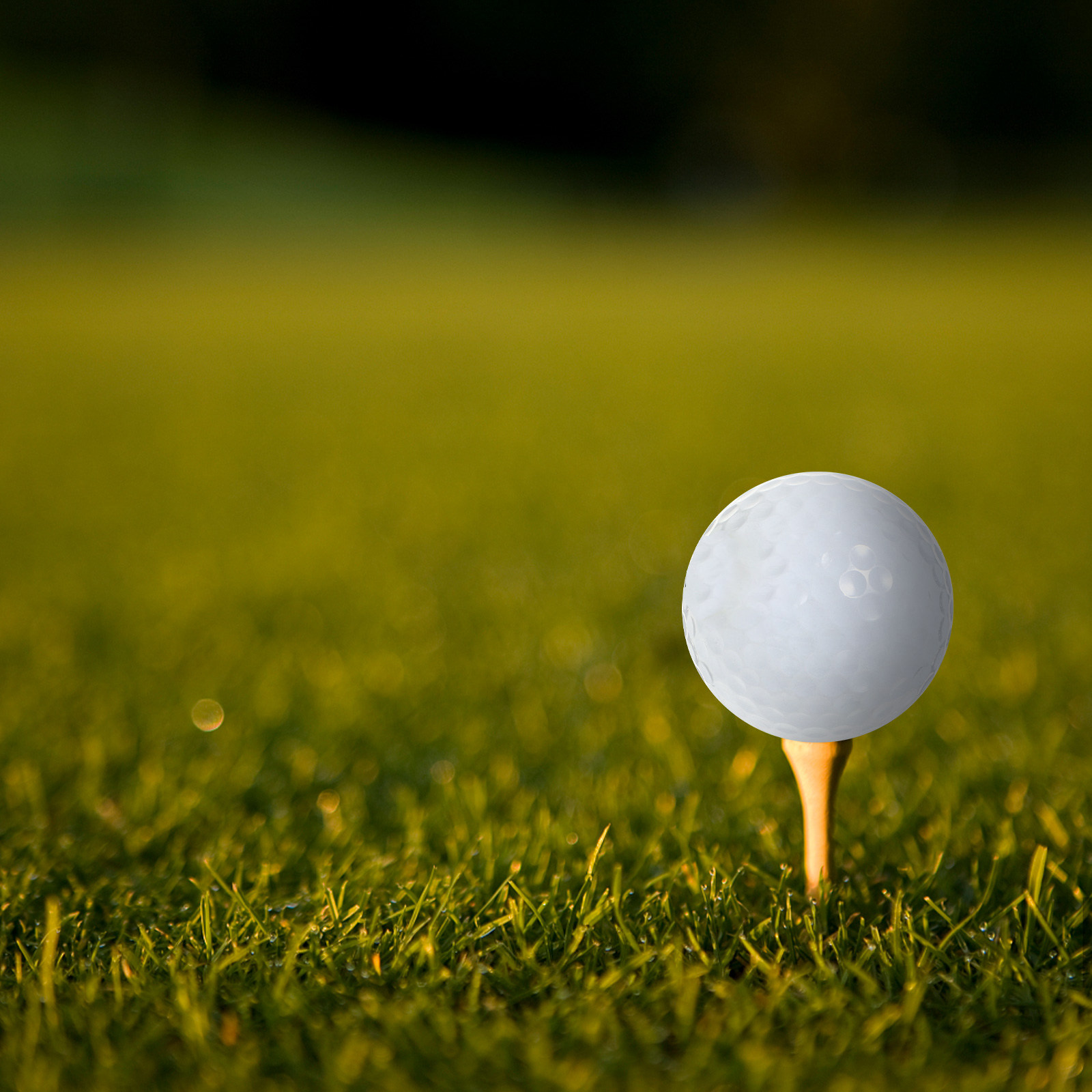 屋内練習用ゴルフボール用品 長距離用 ホワイト ソフト 初心 - Golf Equipment For Beginners のレビューと価格
