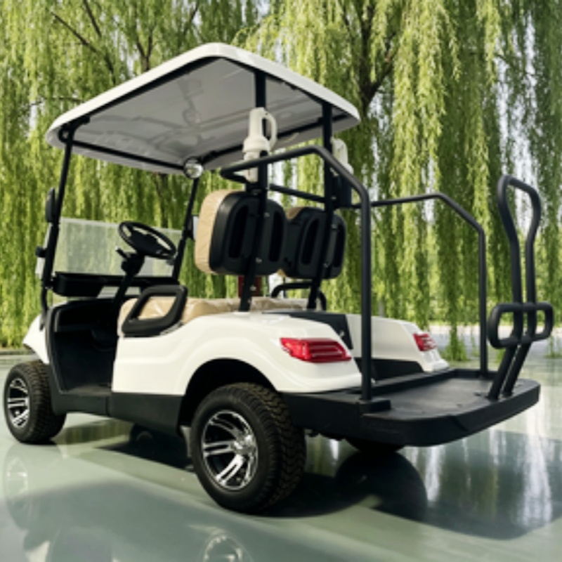 中国製電動ゴルフカート リチウム電池 2人乗り 60/72V - Golf Bag Stand Cart のレビューと価格