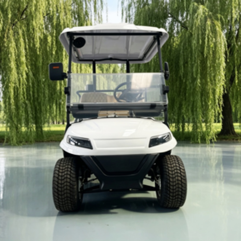 中国製電動ゴルフカート リチウム電池 2人乗り 60/72V - Golf Bag Stand Cart のレビューと価格
