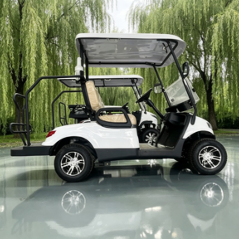 中国製電動ゴルフカート リチウム電池 2人乗り 60/72V - Golf Bag Stand Cart のレビューと価格