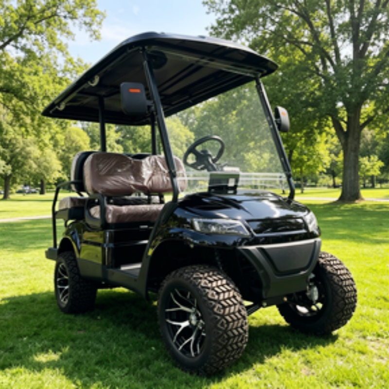 公道走行可能ゴルフカートバギー観光用電動ゴルフカート72Vゴ - Golf Bag Stand Cart のレビューと価格