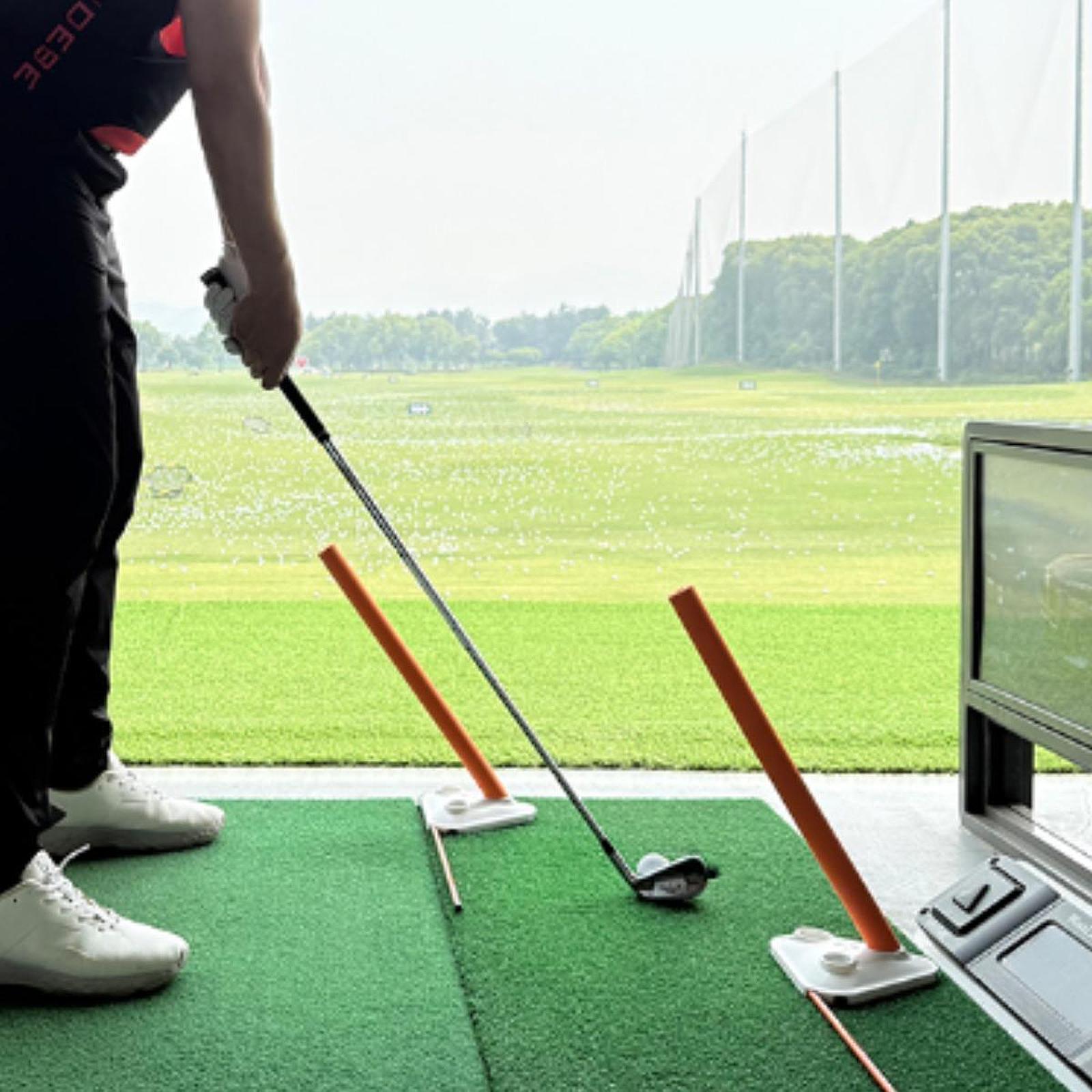 プロゴルフ練習器具 スイングトレーナー アライメントスティッ - Alignment Stick Set のレビューと価格